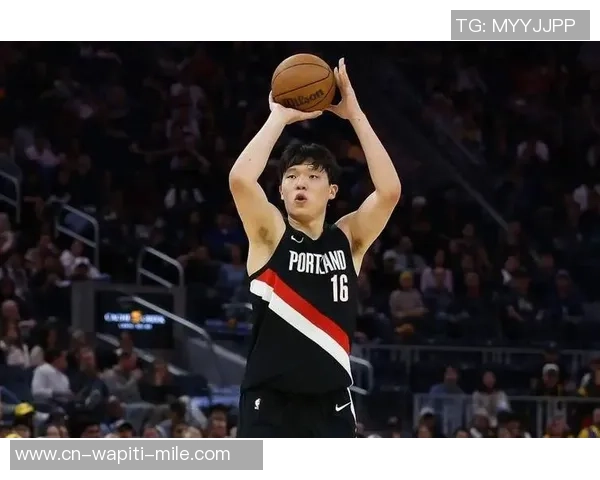 杨瀚森未进场格兰特罚球绝杀 开拓者2分险胜掘金